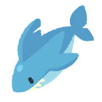 Shark!