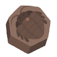 Trilobite Fossil