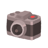 Old Camera