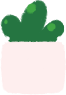 Succulent Plant
