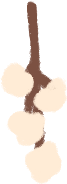 Cotton Flower