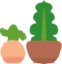Cactus Pots