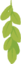 Vine (R)