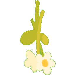 Bundle of Wild Flowers