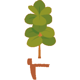 Healthy Tree