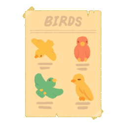 Bird Species Poster