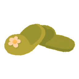 Flowery Slippers