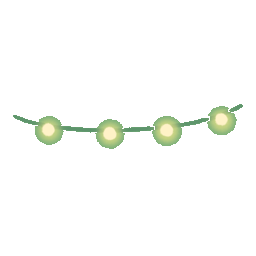 String Lights (L)