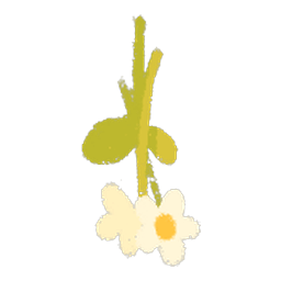 Bundle of Wild Flowers
