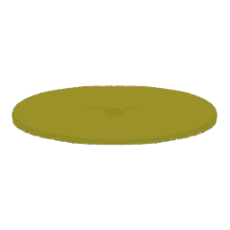 Soft Cushion