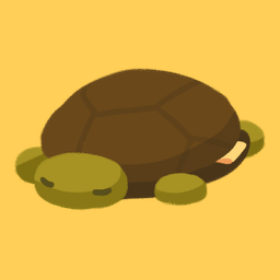 Turtle Plush