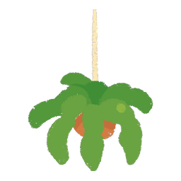 Hanging Fern