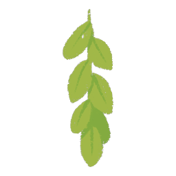 Vine (R)