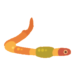 Giant Jelly Worm