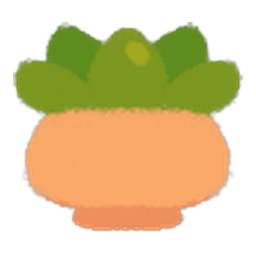 Small Succulent