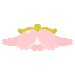 Cherry Blossom Light