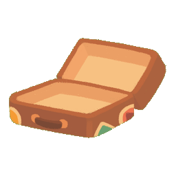 Leather Suitcase