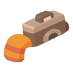 Camera and Socks