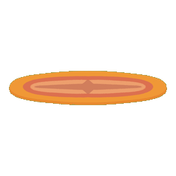 Compass Rug