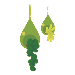 Hanging Terrarium