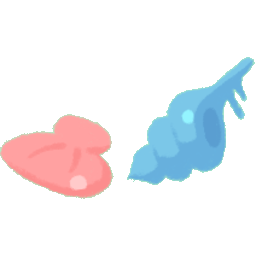 Clam Shell and Conch