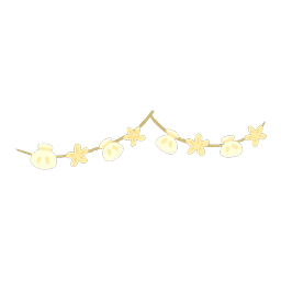 Shells (L)