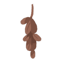 Dried Herbs