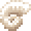 Ammonite
