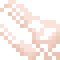 Dinosaur Skeleton
