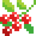 Cranberry