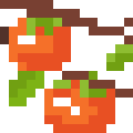 Persimmon