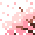 Cherry Blossoms
