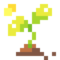Sprout