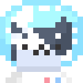 Space Cat