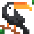 Toucan