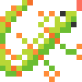 Gecko