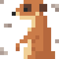 Meerkat