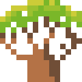 Baobab Tree