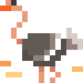 Ostrich