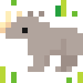 Rhinoceros