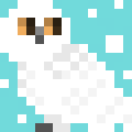 Snowy Owl