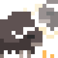 Muskox