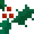 Holly