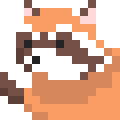 Raccoon