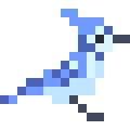 Blue Jay