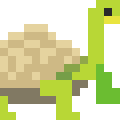 Galapagos Giant Tortoise