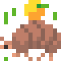 Three-Banded Armadillo