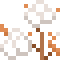 Cotton