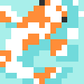 Koi