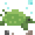 Softshell Turtle